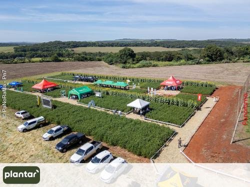 Plantar-Dia-de-Campo-em-Jatai-1