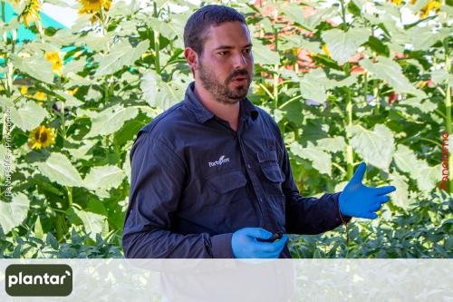Plantar-Dia-de-Campo-em-Jatai-108