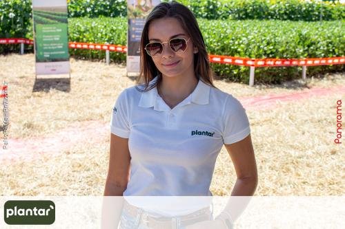 Plantar-Dia-de-Campo-em-Jatai-116