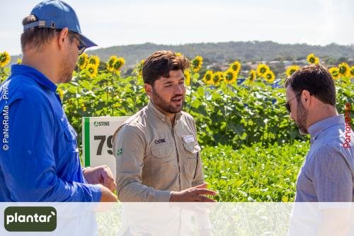 Plantar-Dia-de-Campo-em-Jatai-289