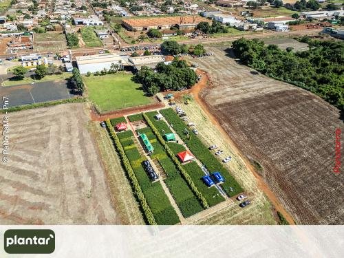 Plantar-Dia-de-Campo-em-Jatai-3