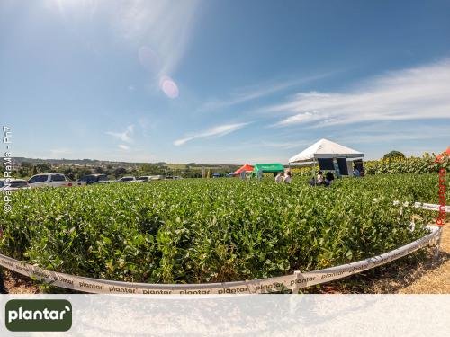C:DCIM100GOPROGOPR0442.GPR