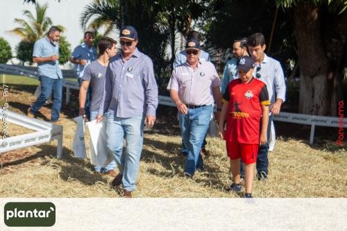 Plantar-Dia-de-Campo-em-Jatai-332