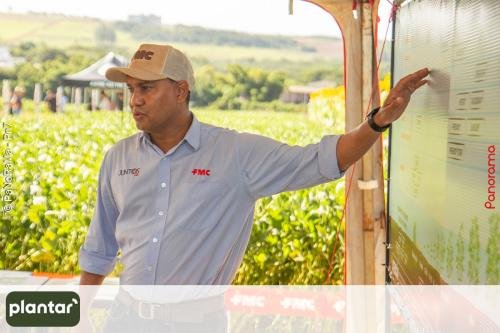 Plantar-Dia-de-Campo-em-Jatai-341