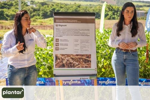 Plantar-Dia-de-Campo-em-Jatai-374