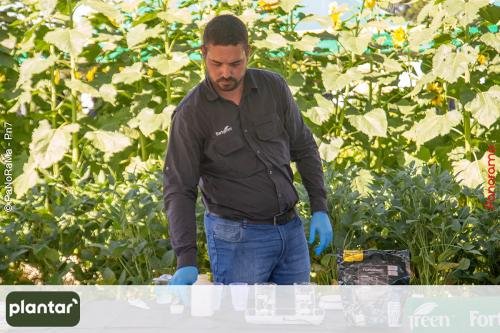 Plantar-Dia-de-Campo-em-Jatai-403