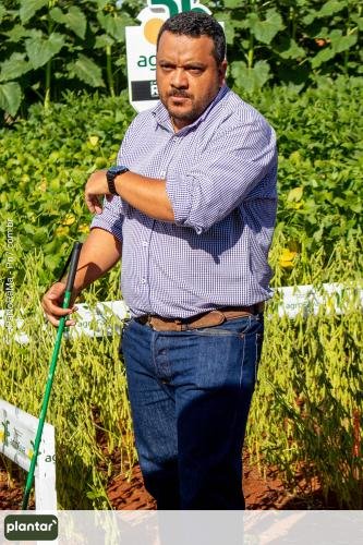 Plantar-Dia-de-Campo-em-Jatai-60