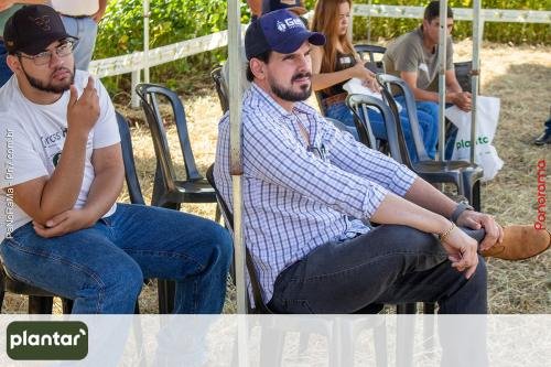 Plantar-Dia-de-Campo-em-Jatai-62