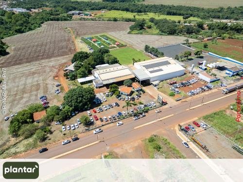 Plantar-Dia-de-Campo-em-Jatai-7