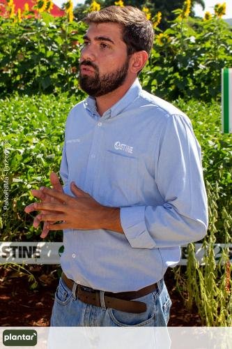 Plantar-Dia-de-Campo-em-Jatai-75