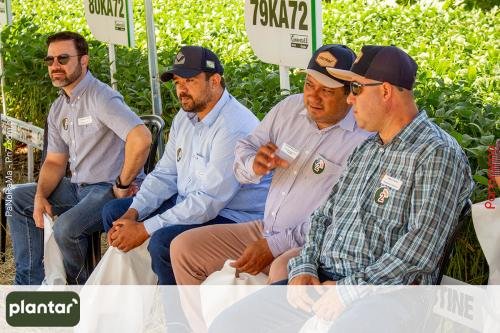 Plantar-Dia-de-Campo-em-Jatai-88