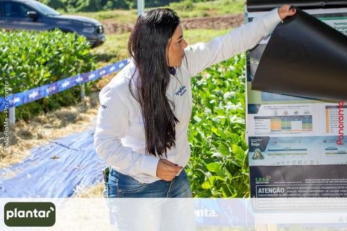 Plantar-Dia-de-Campo-em-Jatai-92