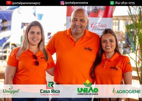 Pn7-COD-21 (1) (1) (1) (1)