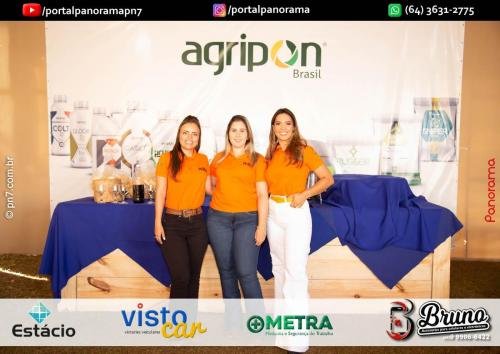 Pn7-COD-28 (1) (1) (1) (1)