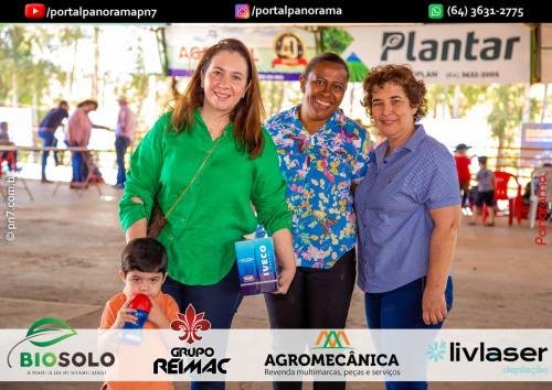 Pn7-COD-29 (1) (1) (1) (1)