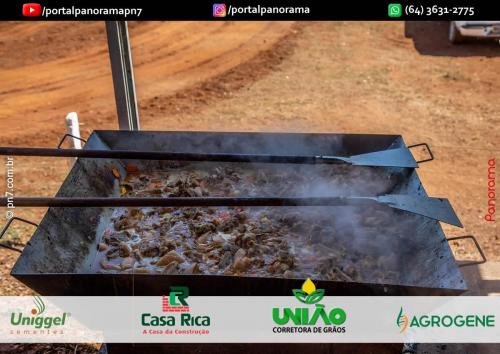 Pn7-COD-78 (1) (1) (1) (1)