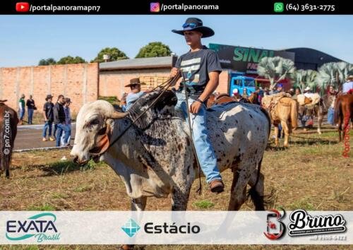 Portal-PaNoRaMa-Cavalgada-EXPAJA-61