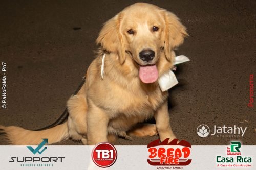 Primeira-noite-do-Arraia-do-Jatahy-Shopping-49