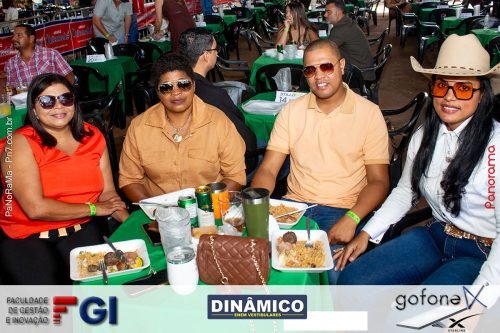 Queima-do-Alho-em-Jatai-11