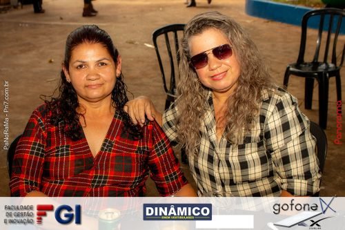 Queima-do-Alho-em-Jatai-231