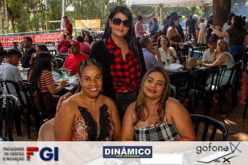 Queima-do-Alho-em-Jatai-51