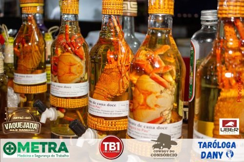 Vaquejada-de-Jatai-2025-131