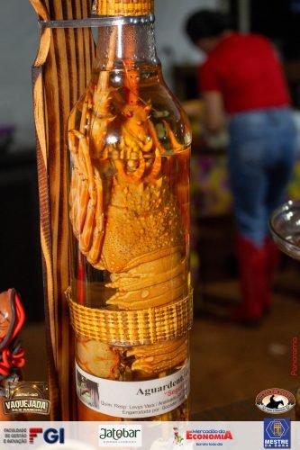 Vaquejada-de-Jatai-2025-132