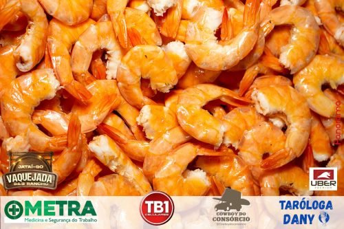 Vaquejada-de-Jatai-2025-143