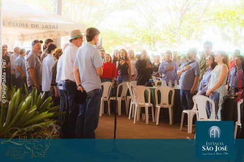 fotos-leilao-estancia-sao-jose-jatai-193